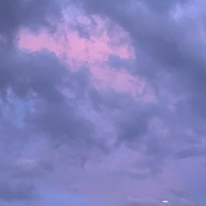 Meet your Posher, Miranda